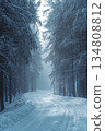 Snowy forest path with trees in the background 134808812