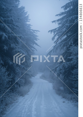 Snowy forest path with trees in the background Snowy forest path with trees in the background 134808813