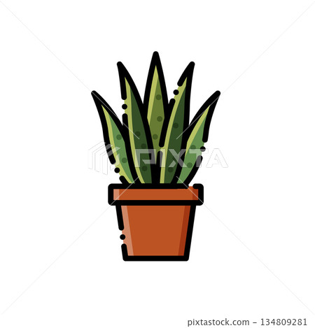 A cute tiger tail orchid bonsai, a sword-shaped green leaf with yellow markings, and a palm-colored flower bonsai that is super healing! Suitable indoor plants, home or green living design 134809281