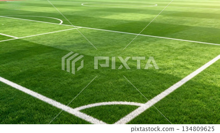 green grass with blue sky 134809625