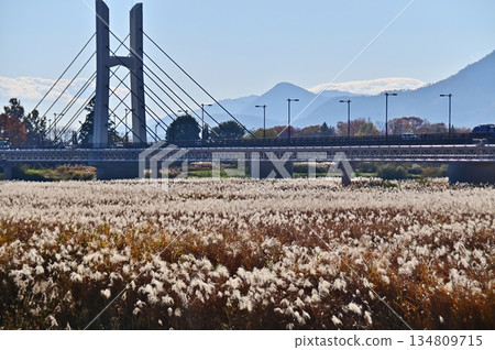 Late autumn view from the Chikuma River bank Late autumn view from the Chikuma River bank 134809715