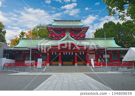 富岡八幡宮 富岡八幡宮 134809839