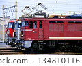 Electric locomotives lined up at Kitakyushu Freight Terminal (JR Freight) 134810116