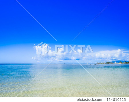 Summer, sea and beach image Hawaii 134810223
