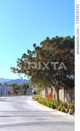 Peaceful Village Under Bright Sky, Idyllic Countryside Street Bathed In Gentle Sunlight And Shadows, Tranquil Village Pathway Bordered By Lush Trees With Distant Mountainous Background And Clear Sky Peaceful Village Under Bright Sky, Idyllic Countryside Street Bathed In Gentle Sunlight And Shadows, Tranquil Village Pathway Bordered By Lush Trees With Distant Mountainous Background And Clear Sky 134810333