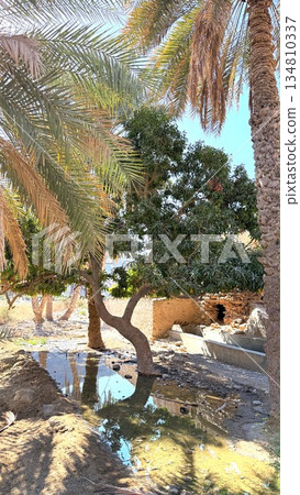 Silent Mysterious Passage, Old Corridor With Secrets Hidden, Winding Pathway Through Decayed Stone Structure, Crunbling Corridor Winding Through Old Ruins With Scattered Debris And Atmospheric Shadows Silent Mysterious Passage, Old Corridor With Secrets Hidden, Winding Pathway Through Decayed Stone Structure, Crunbling Corridor Winding Through Old Ruins With Scattered Debris And Atmospheric Shadows 134810337