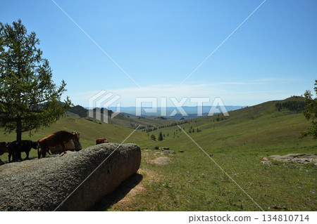 Mongolian steppes and blue sky Mongolian steppes and blue sky 134810714