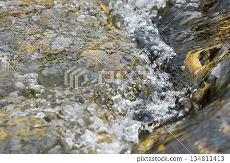 Autumn River - Close-up of the clear stream 91 Autumn River - Close-up of the clear stream 91 134811413