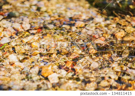 Autumn River - Close-up of the clear stream 94 Autumn River - Close-up of the clear stream 94 134811415