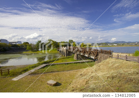 葛西市王子沙來池水上樂園的奇觀橋（Zenboike Bridge） 134812005