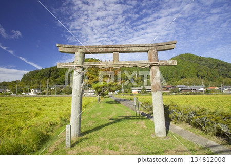 The stone torii gate of Sakatare Shrine and ripening rice fields The stone torii gate of Sakatare Shrine and ripening rice fields 134812008