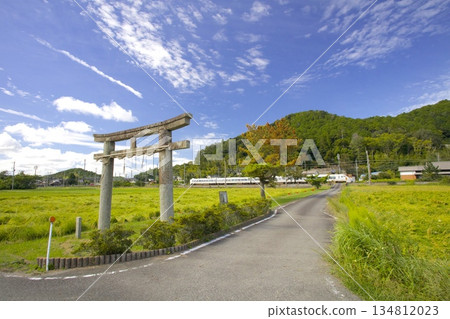 JR福知山線特急「鸛號」列車穿過稻田和坂垂神社的石鳥居。 134812023