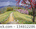 Double-flowered red weeping cherry blossoms at Hatenashi Village, a World Heritage Site on the Kumano Kodo Kohechi Trail 134812286