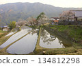 Mitaka Cherry Blossoms / Top 100 Cherry Blossom Spots in Japan 134812298