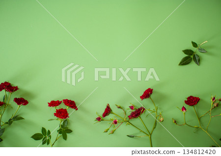 Bright small red roses on contrasting green background Bright small red roses on contrasting green background 134812420