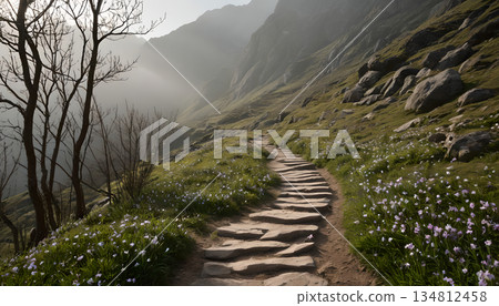 籠罩在霧氣中的谷川山 134812458