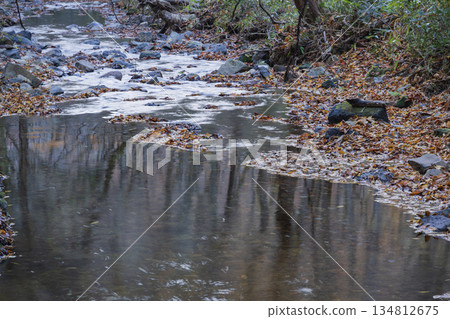 Late autumn stream and fallen leaves Late autumn stream and fallen leaves 134812675