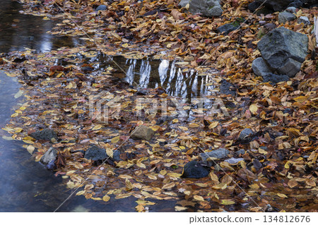 落葉地毯 134812676