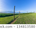 Farm Electrical Fence Landscape 134813580
