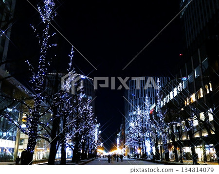 Sparkling illuminations in Sapporo 134814079