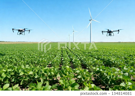 windmill on the field windmill on the field 134814081