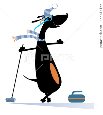 dog, dachshund, silhouette 134814166