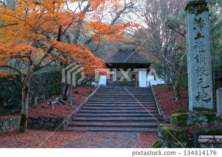 京都東山的獅子谷安樂寺（京都的一顆隱藏的寶石，美麗的秋葉） 134814176
