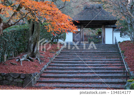 京都東山的獅子谷安樂寺（京都的一顆隱藏的寶石，美麗的秋葉） 134814177