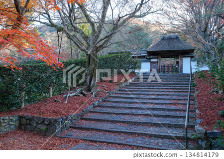 Shishigatani Anrakuji Temple in Higashiyama, Kyoto (a hidden gem in Kyoto for beautiful autumn foliage) Shishigatani Anrakuji Temple in Higashiyama, Kyoto (a hidden gem in Kyoto for beautiful autumn foliage) 134814179
