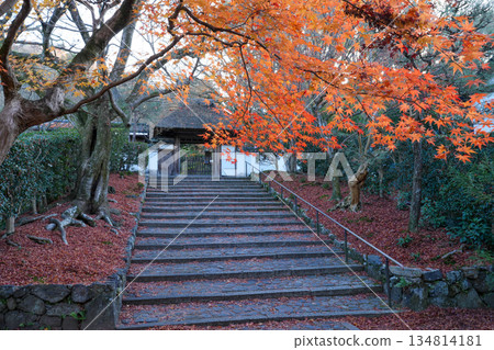 Shishigatani Anrakuji Temple in Higashiyama, Kyoto (a hidden gem in Kyoto for beautiful autumn foliage) 134814181
