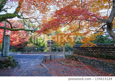 京都東山的獅子谷安樂寺（京都的一顆隱藏的寶石，美麗的秋葉） 134814184