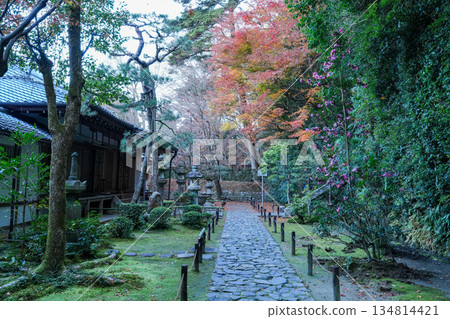 京都東山法然院的秋葉 京都東山法然院的秋葉 134814421