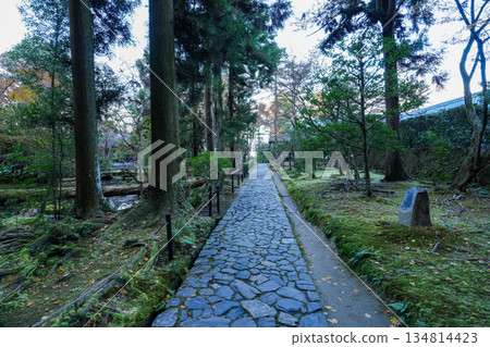 Autumn leaves at Honen-in Temple in Higashiyama, Kyoto Autumn leaves at Honen-in Temple in Higashiyama, Kyoto 134814423