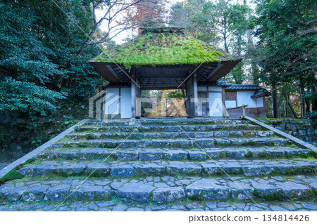 Autumn leaves at Honen-in Temple in Higashiyama, Kyoto 134814426