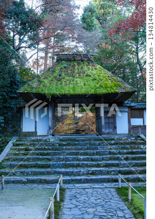 京都東山法然院的秋葉 134814430