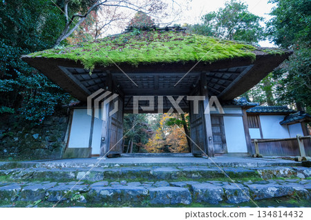 Autumn leaves at Honen-in Temple in Higashiyama, Kyoto 134814432