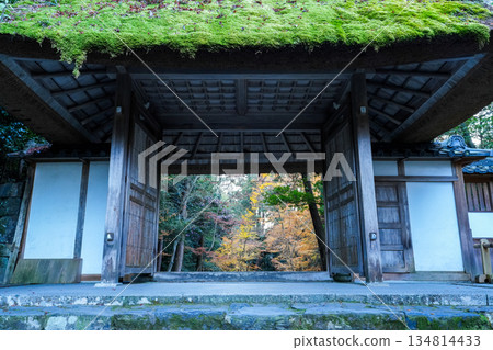 Autumn leaves at Honen-in Temple in Higashiyama, Kyoto 134814433