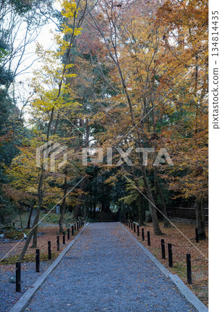 京都東山法然院的秋葉 京都東山法然院的秋葉 134814435
