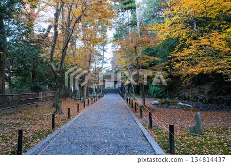 京都東山法然院的秋葉 134814437