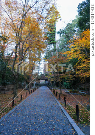 Autumn leaves at Honen-in Temple in Higashiyama, Kyoto 134814438
