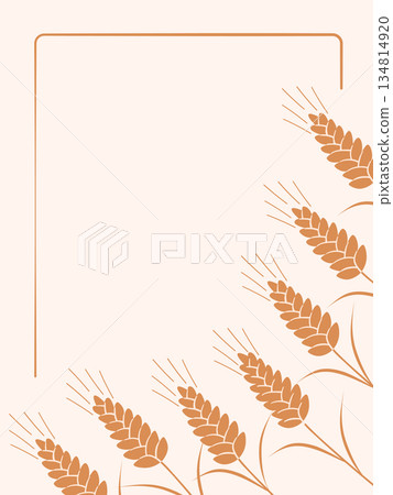 Frame with agricultural wheat and grain ears. Concept bread or farming, organic food. Vector illustration, copy space. 134814920