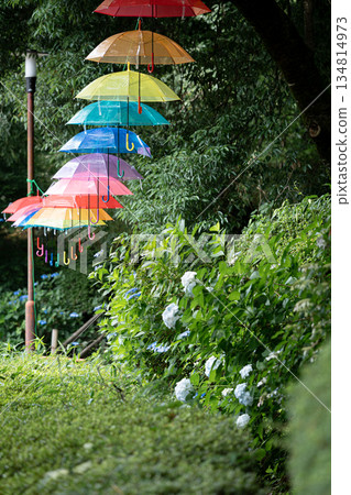 Colorful umbrella Colorful umbrella 134814973