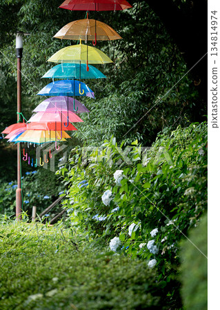 Lots of colorful umbrellas Lots of colorful umbrellas 134814974