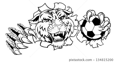 Tiger Soccer Football Animal Sports Team Mascot Tiger Soccer Football Animal Sports Team Mascot 134815200