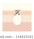 Blackheads, keratin plugs, pores 134815241