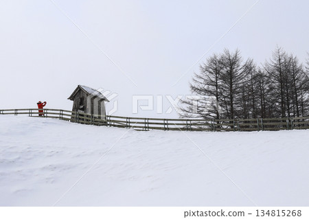 Sheep pasture covered in snow. Sheep pasture covered in snow. 134815268