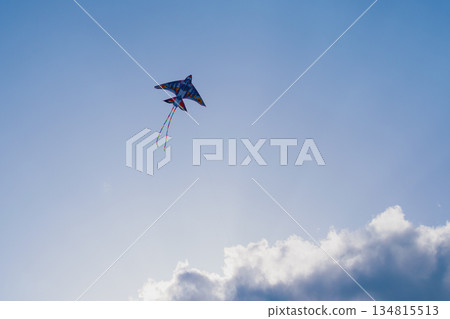 Kite against clear sky and sun rays through clouds 134815513