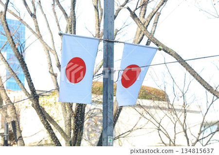 【日本國旗】日之丸，表參道附近街景 134815637