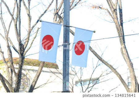 [Japanese flag] Hinomaru, streetscape near Omotesando 134815641