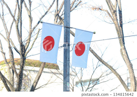 [Japanese flag] Hinomaru, streetscape near Omotesando 134815642